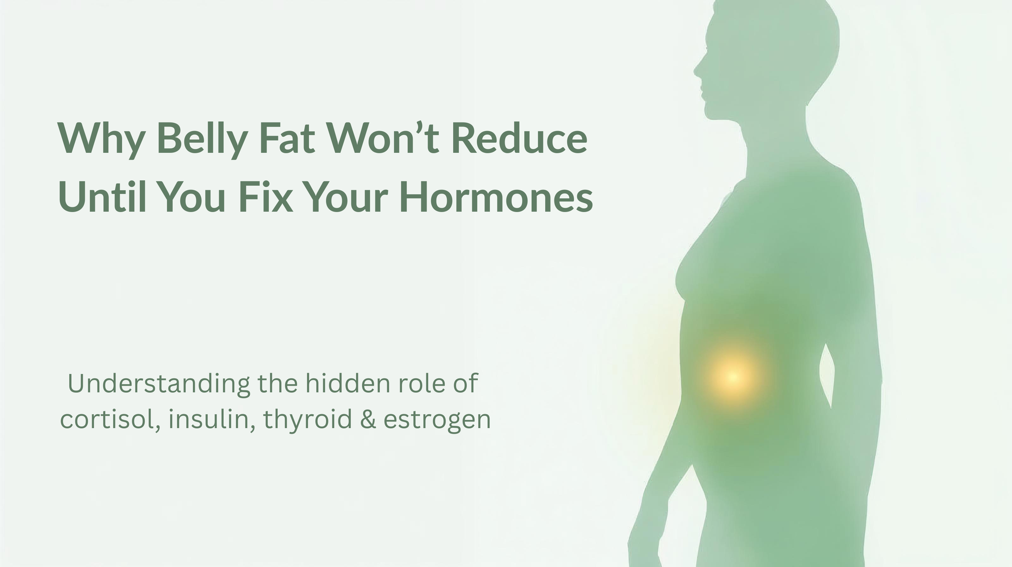 Human silhouette with highlighted abdominal area representing hormonal belly fat